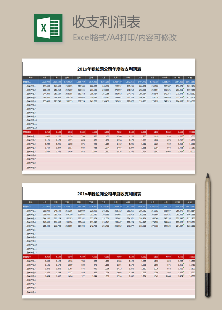 年度收支利潤表格