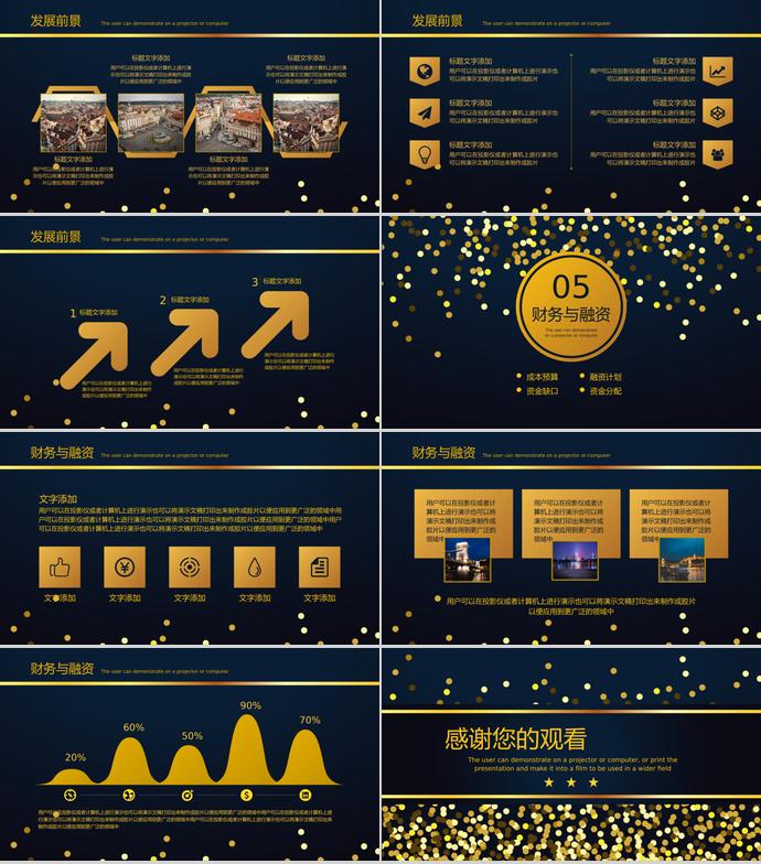 黑金商業(yè)項目計劃書PPT模板-2