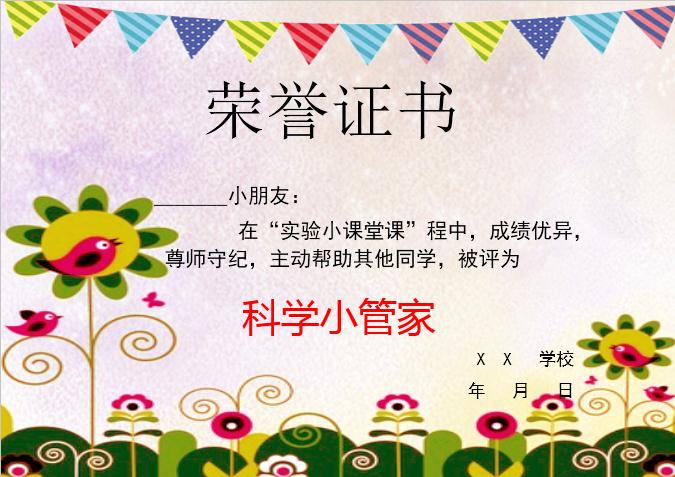 精美花卉榮譽(yù)證書Word模板