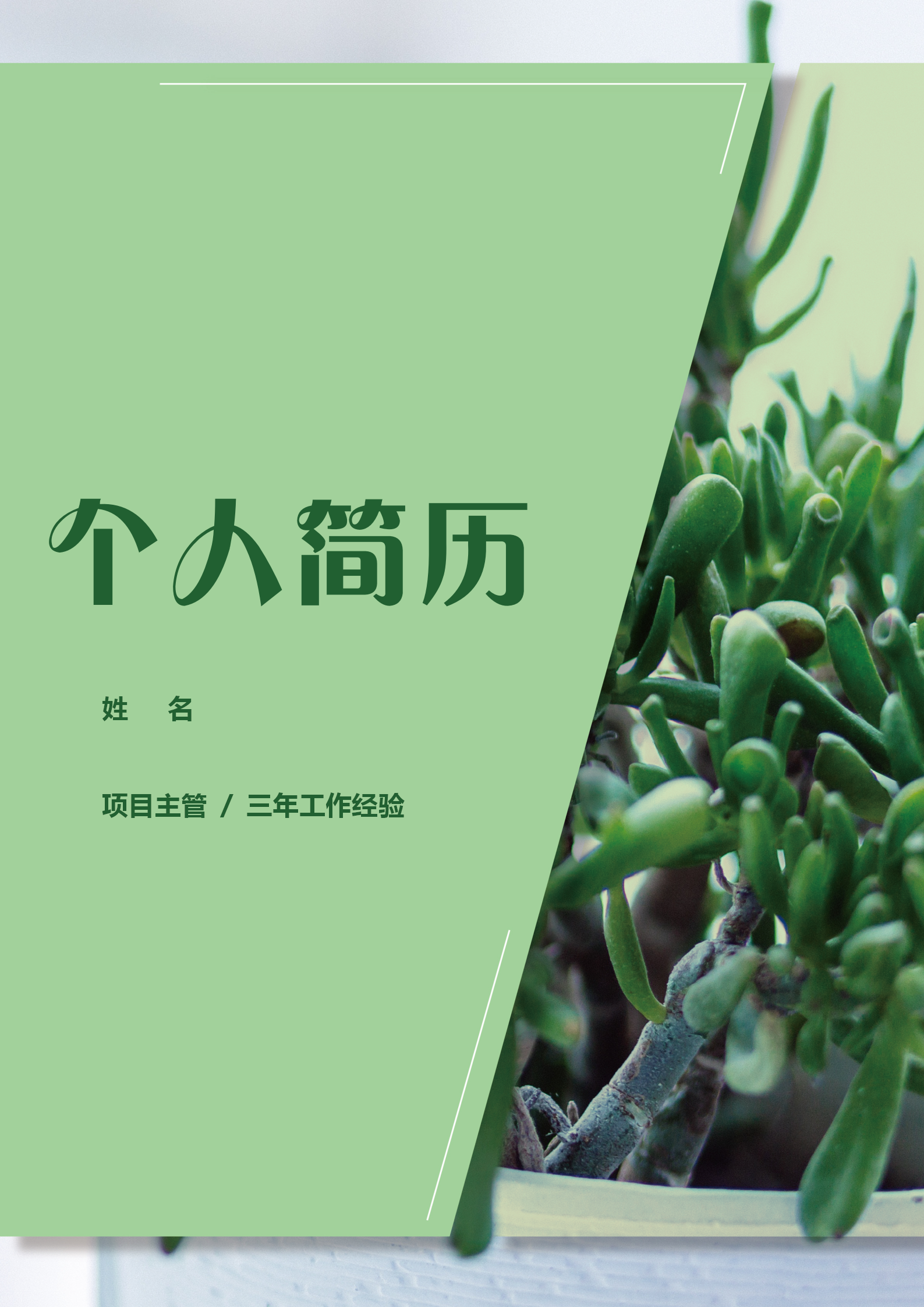 三年經(jīng)驗(yàn)項(xiàng)目主管簡歷套裝