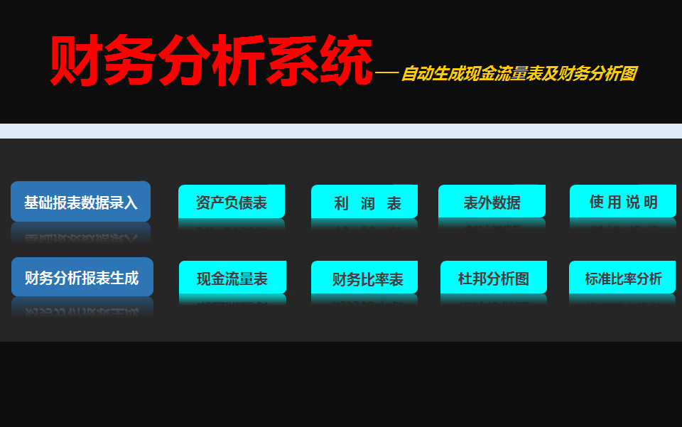 財(cái)務(wù)分析系統(tǒng)明細(xì)表-2