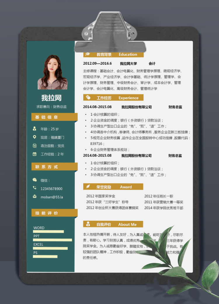 墨藍(lán)黃高端風(fēng)財(cái)務(wù)總監(jiān)個(gè)人簡(jiǎn)歷模板