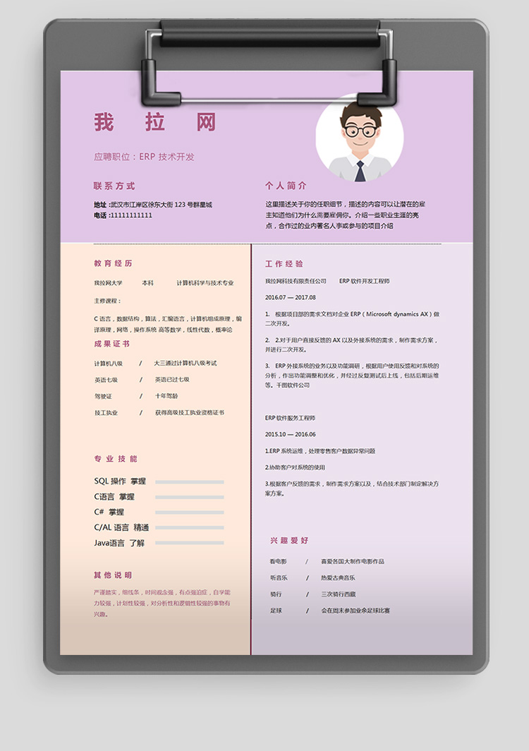 彩色精美軟件開(kāi)發(fā)技術(shù)負(fù)責(zé)人簡(jiǎn)歷-1