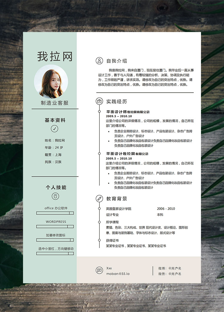 淺綠色小清新制造業(yè)客服簡(jiǎn)歷模板