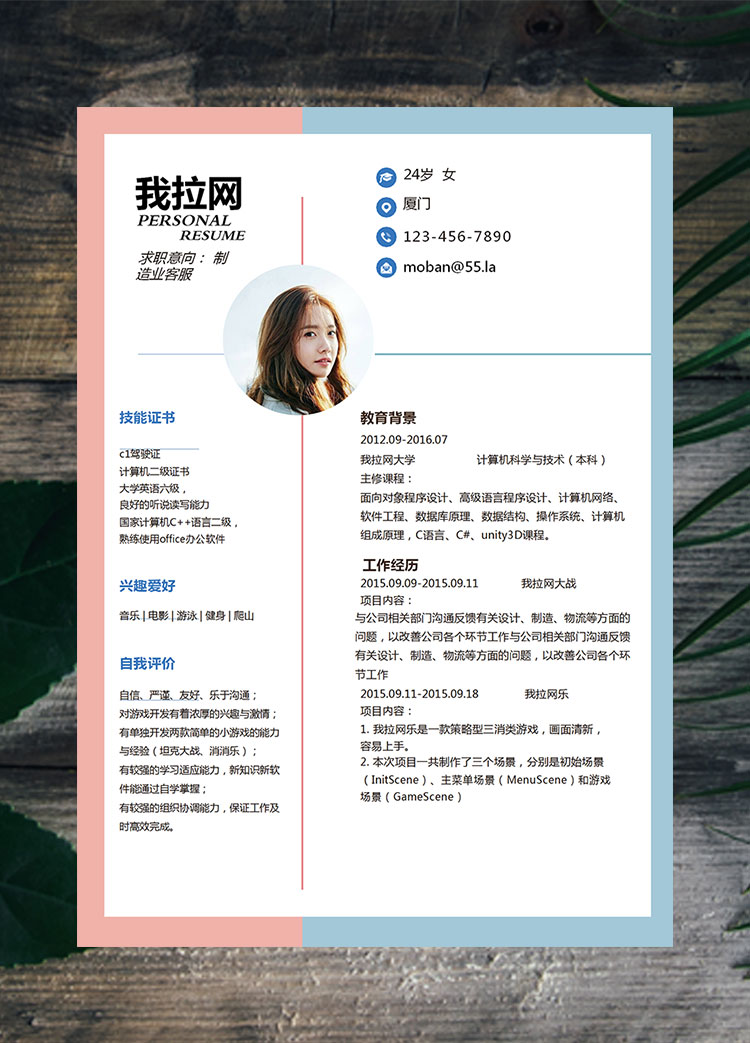 雙色拼接時尚制造業客服簡歷模板