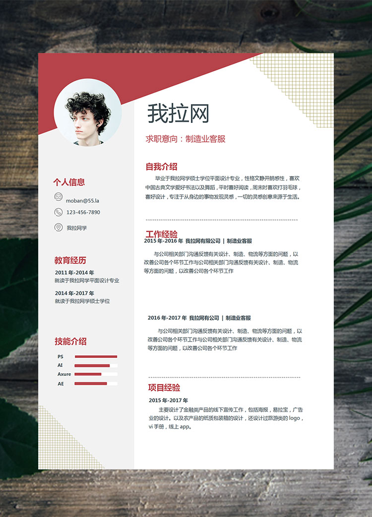 棗紅色創(chuàng)意風(fēng)制造業(yè)客服簡歷模板