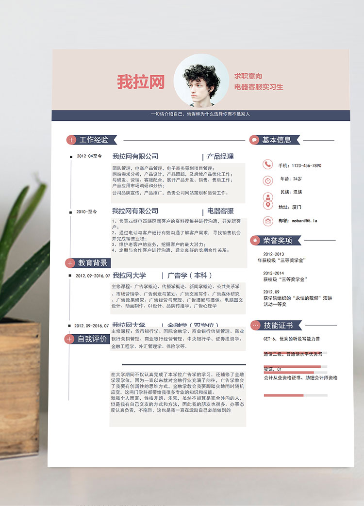 淺紫色創(chuàng)意風電器客服簡歷模板