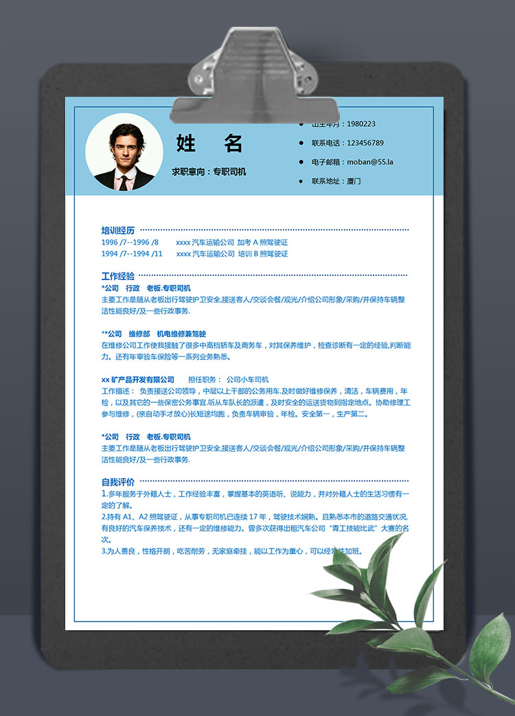 湖藍(lán)色精簡(jiǎn)風(fēng)專職司機(jī)求職簡(jiǎn)歷模板