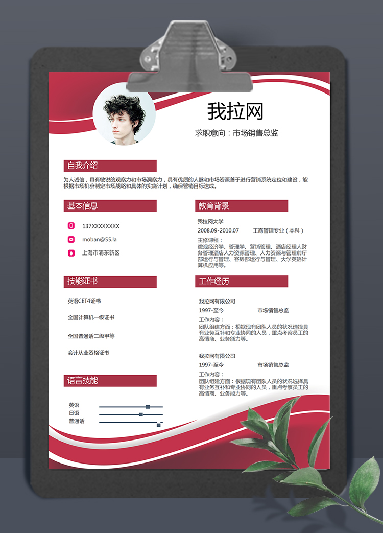 紅色曲線風(fēng)格市場(chǎng)銷售總監(jiān)求職簡(jiǎn)歷模板