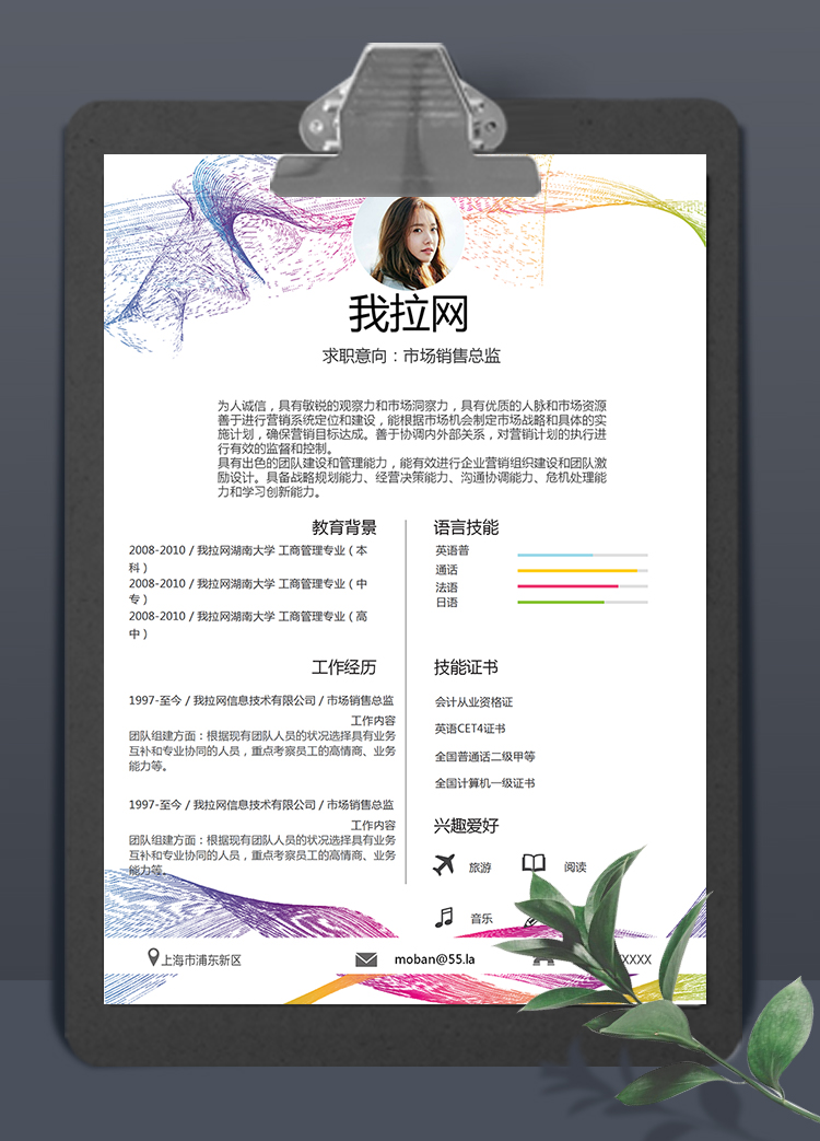 簡約彩線風(fēng)市場銷售總監(jiān)個人簡歷模板
