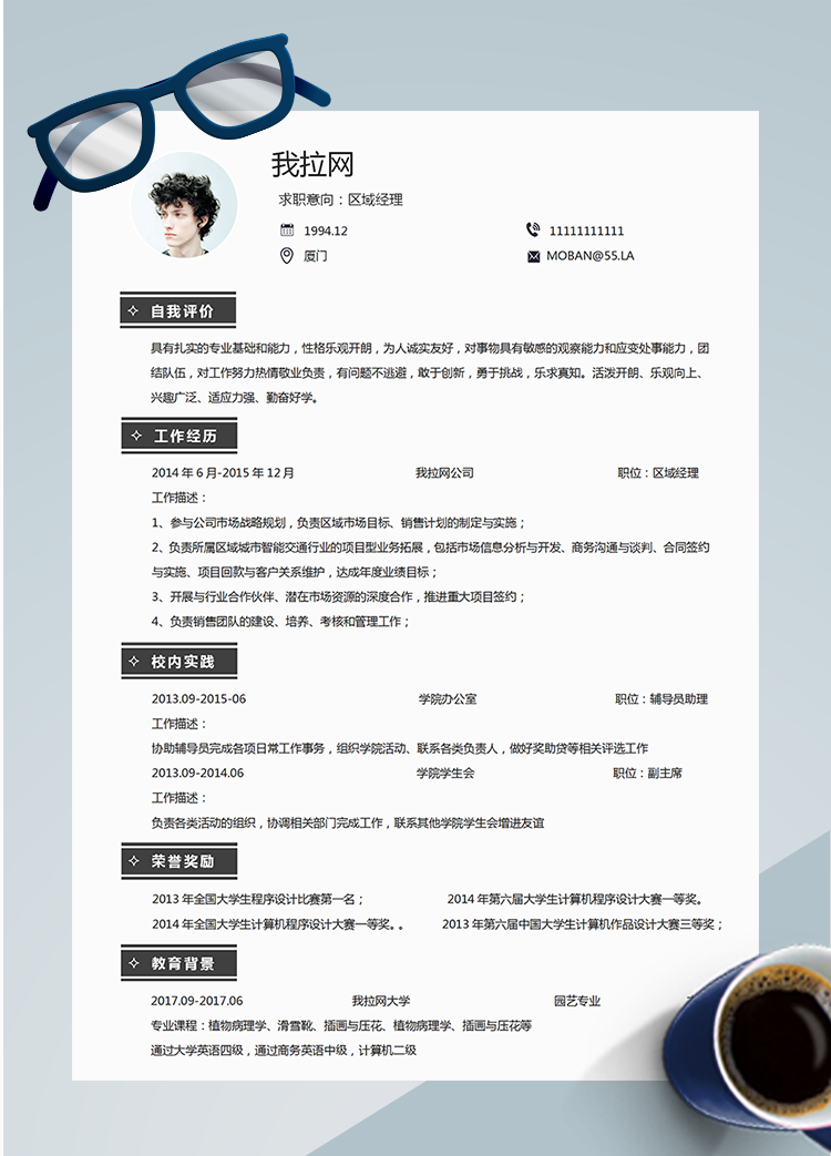 灰色簡約風區域總監word簡歷模板