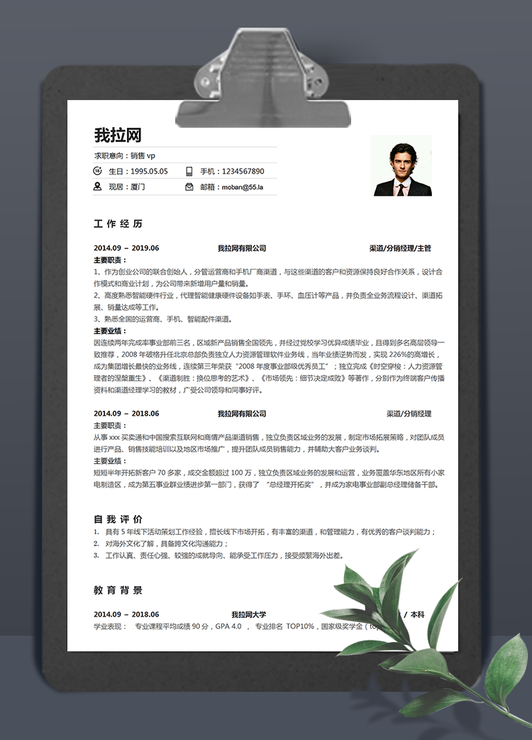 白色簡單風銷售vp個人簡歷模板
