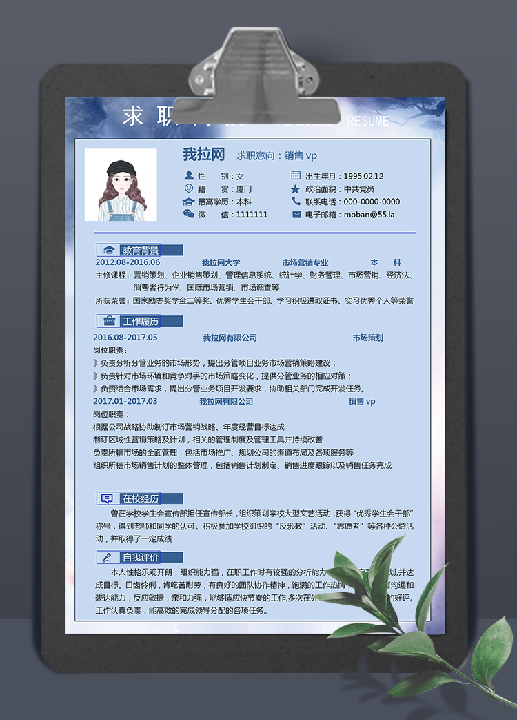 藍(lán)色商務(wù)銷售vp個(gè)人簡(jiǎn)歷模板