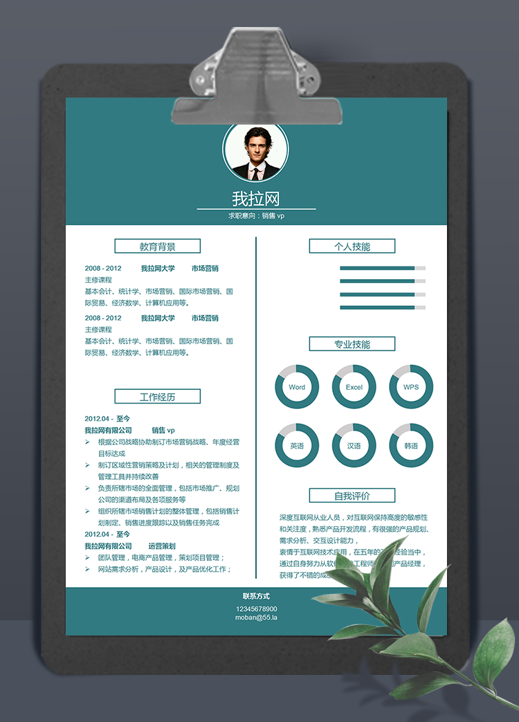 綠色系簡潔風銷售vp個人簡歷模板